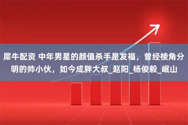 犀牛配资 中年男星的颜值杀手是发福，曾经棱角分明的帅小伙，如今成胖大叔_赵阳_杨俊毅_岷山