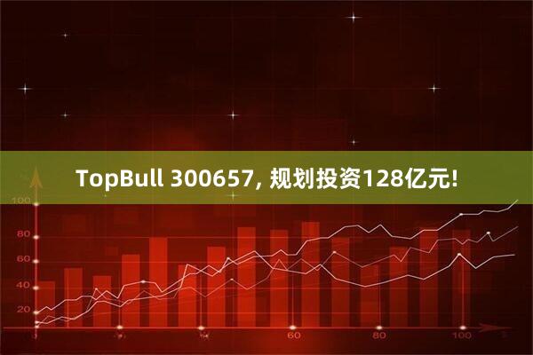 TopBull 300657, 规划投资128亿元!