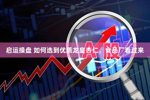 启运操盘 如何选到优质龙皇杏仁，食品厂看过来