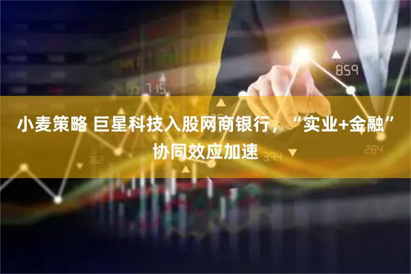 小麦策略 巨星科技入股网商银行，“实业+金融”协同效应加速