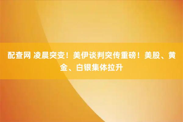 配查网 凌晨突变!美伊谈判突传重磅!美股、黄金、白银集体拉升