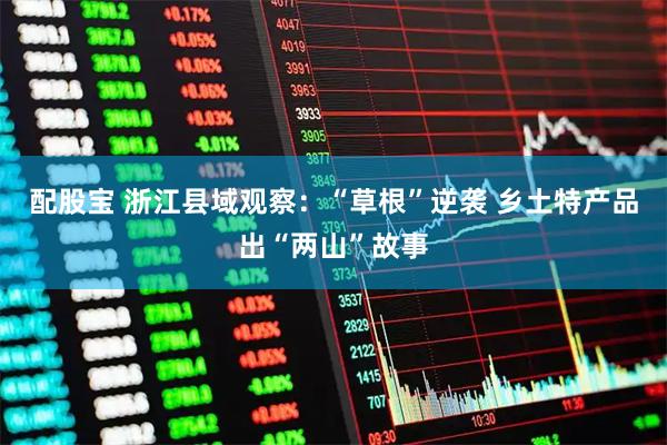 配股宝 浙江县域观察：“草根”逆袭 乡土特产品出“两山”故事