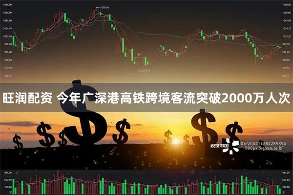 旺润配资 今年广深港高铁跨境客流突破2000万人次