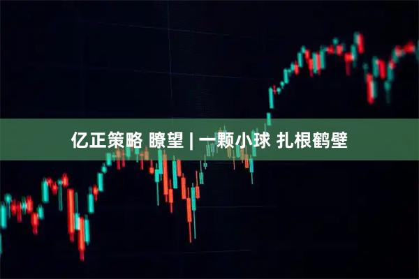 亿正策略 瞭望 | 一颗小球 扎根鹤壁